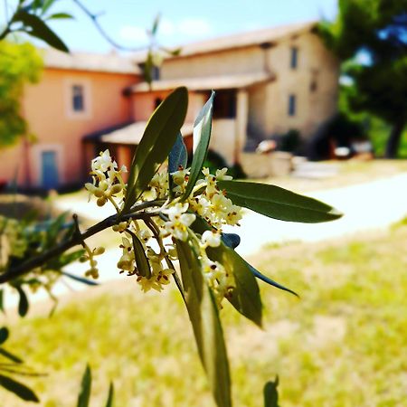 Tenuta San Felice Giano dellʼUmbria Eksteriør billede
