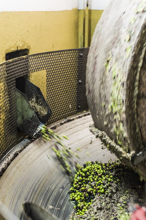 Tenuta San Felice Giano dellʼUmbria Eksteriør billede