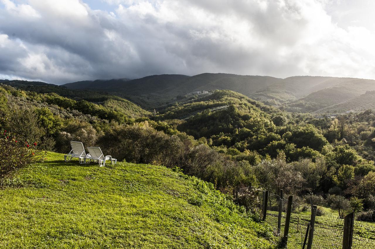 Tenuta San Felice Giano dellʼUmbria Eksteriør billede