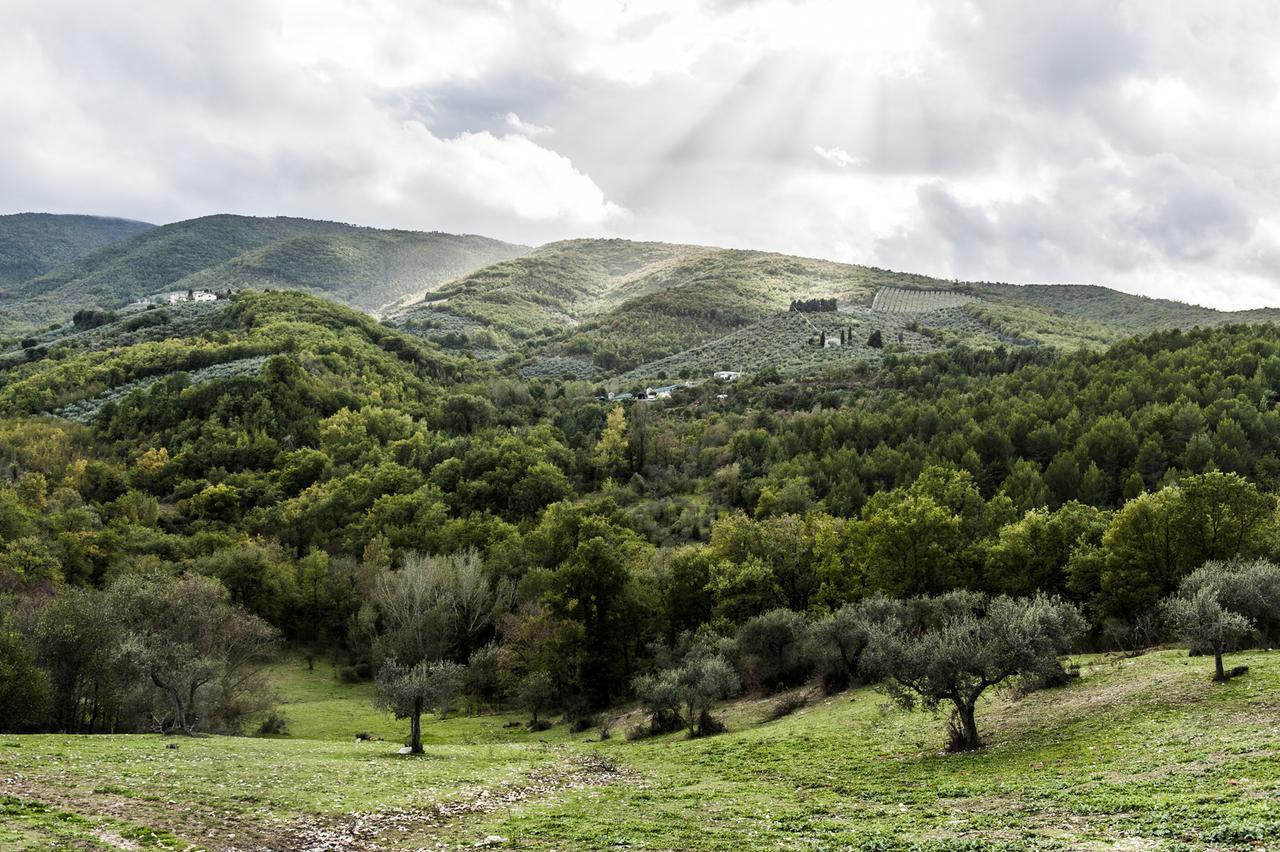 Tenuta San Felice Giano dellʼUmbria Eksteriør billede
