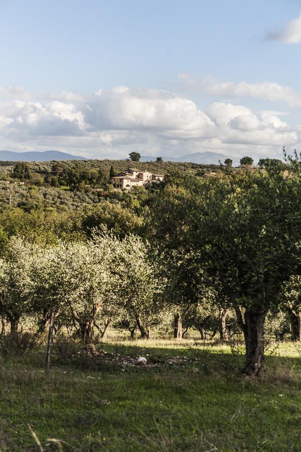 Tenuta San Felice Giano dellʼUmbria Eksteriør billede